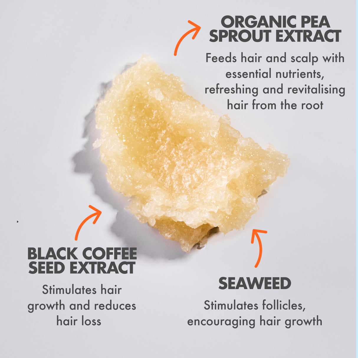 Grow Scrub Vegan Exfoliating Scalp Scrub