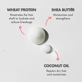 Strong Curls Rosemary Oil Conditioner