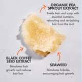 Grow Scrub Vegan Exfoliating Scalp Scrub
