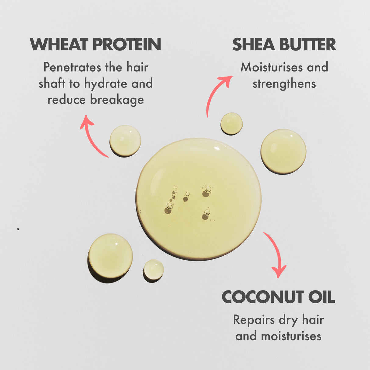 Rosemary Scalp and Hair Oil